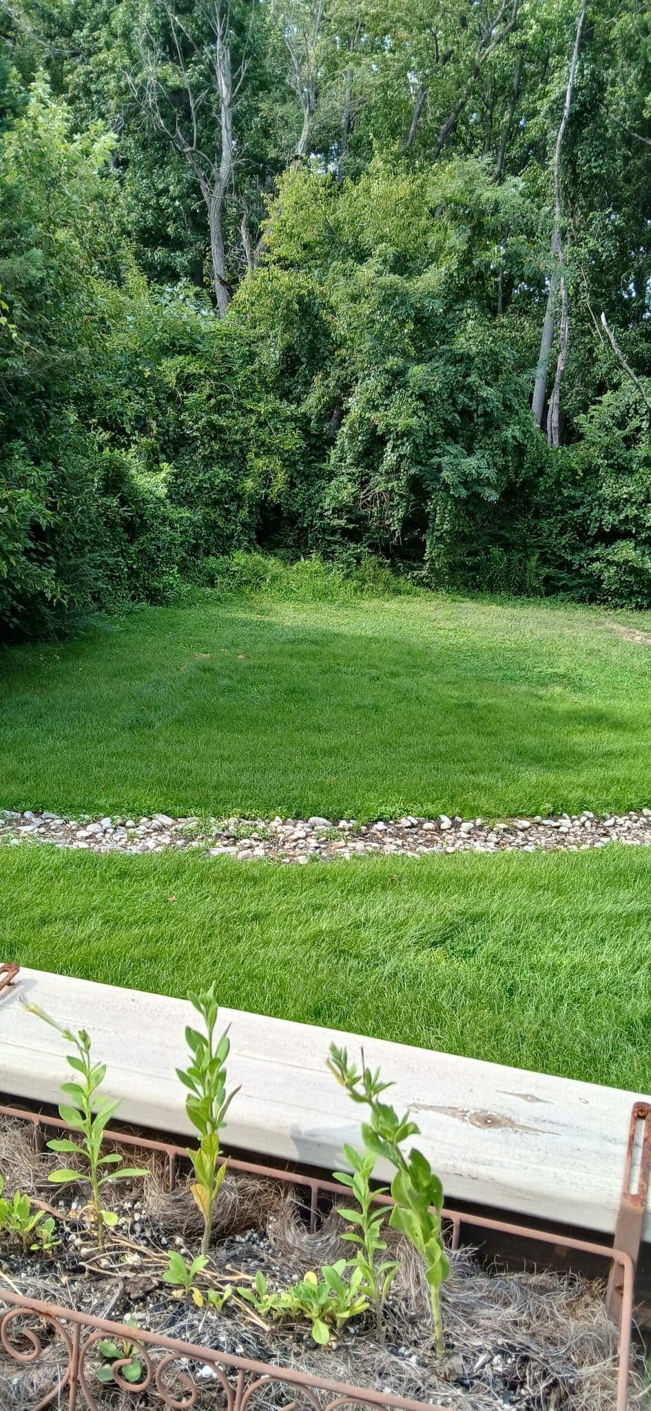 Before — Lawn Care on Kent Island by Shore Works