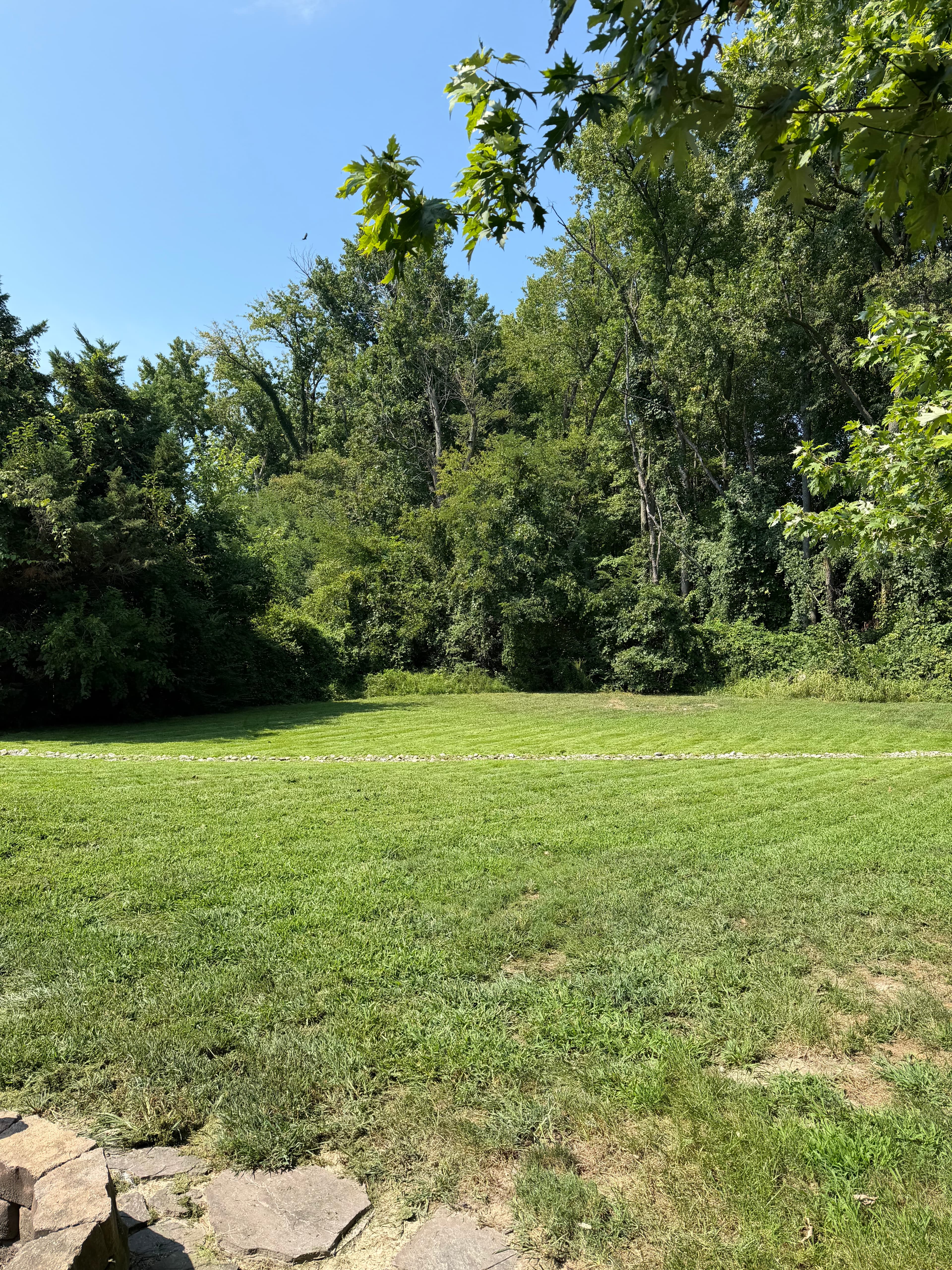 After — Lawn Care on Kent Island by Shore Works
