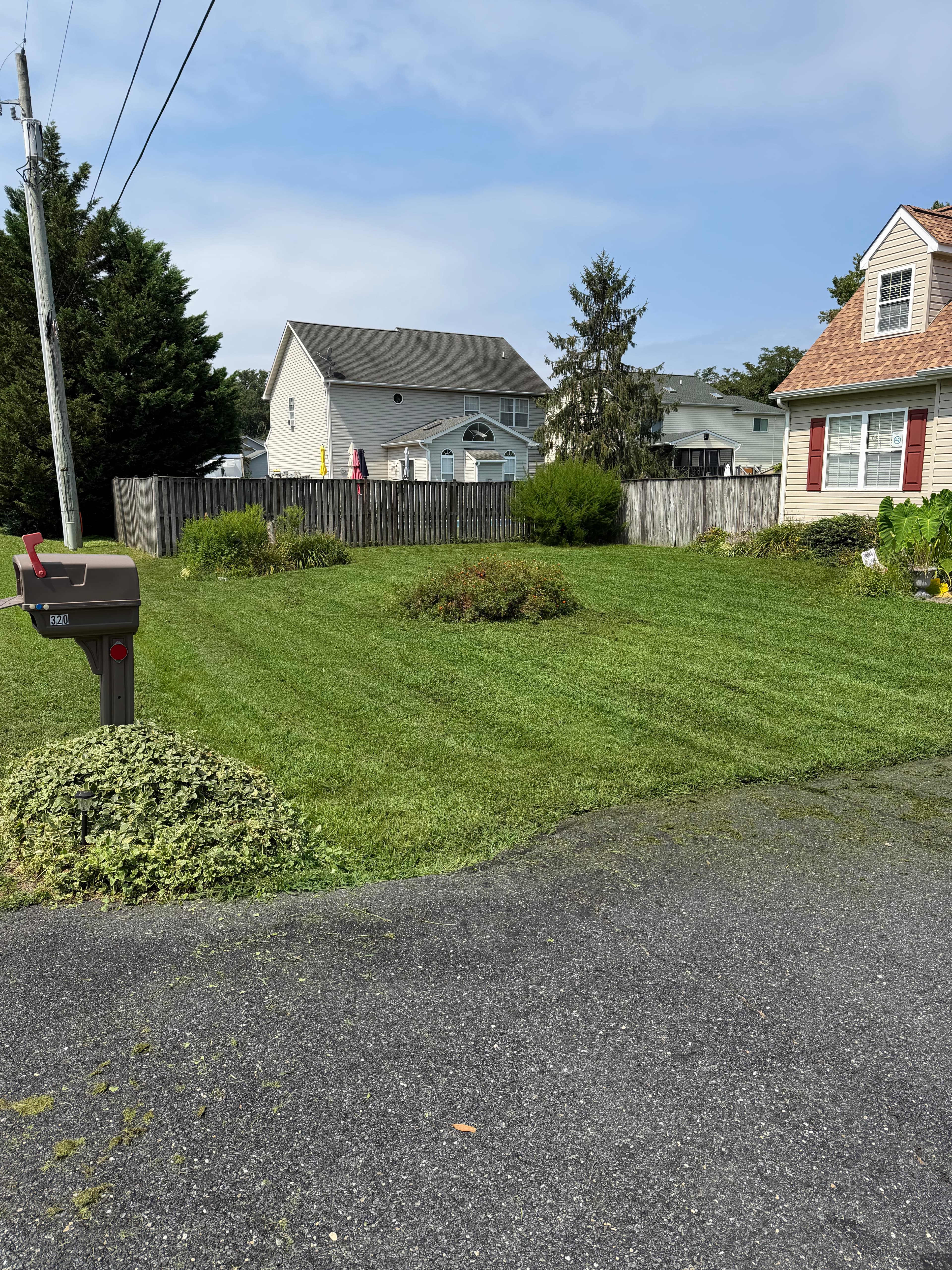 Shore Works crew member clearing brush on a Kent Island property