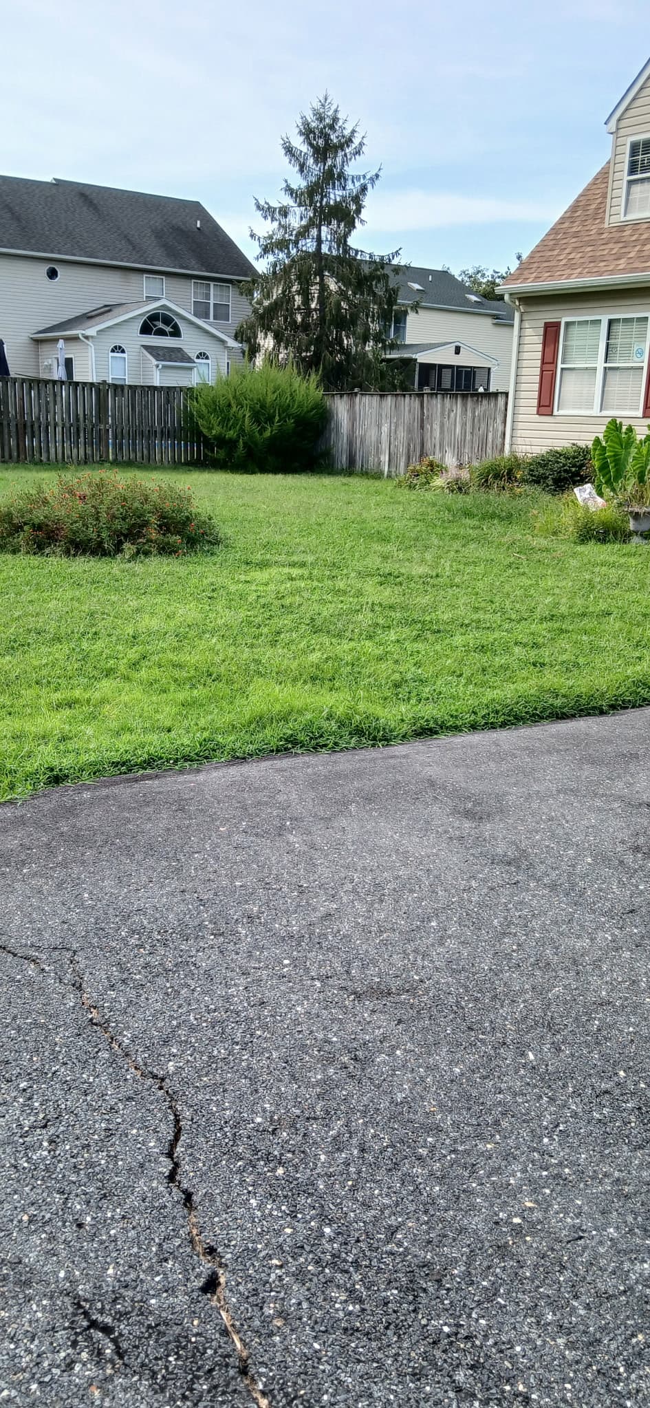 Lawn Care photo